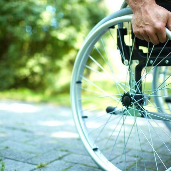 Visitas guiadas para personas en silla de ruedas