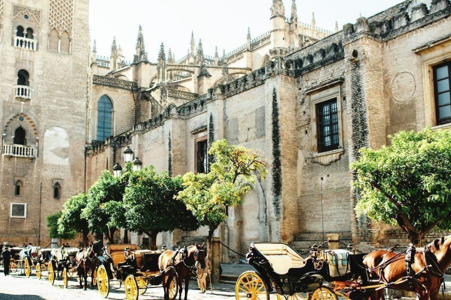 Visit Seville in one day