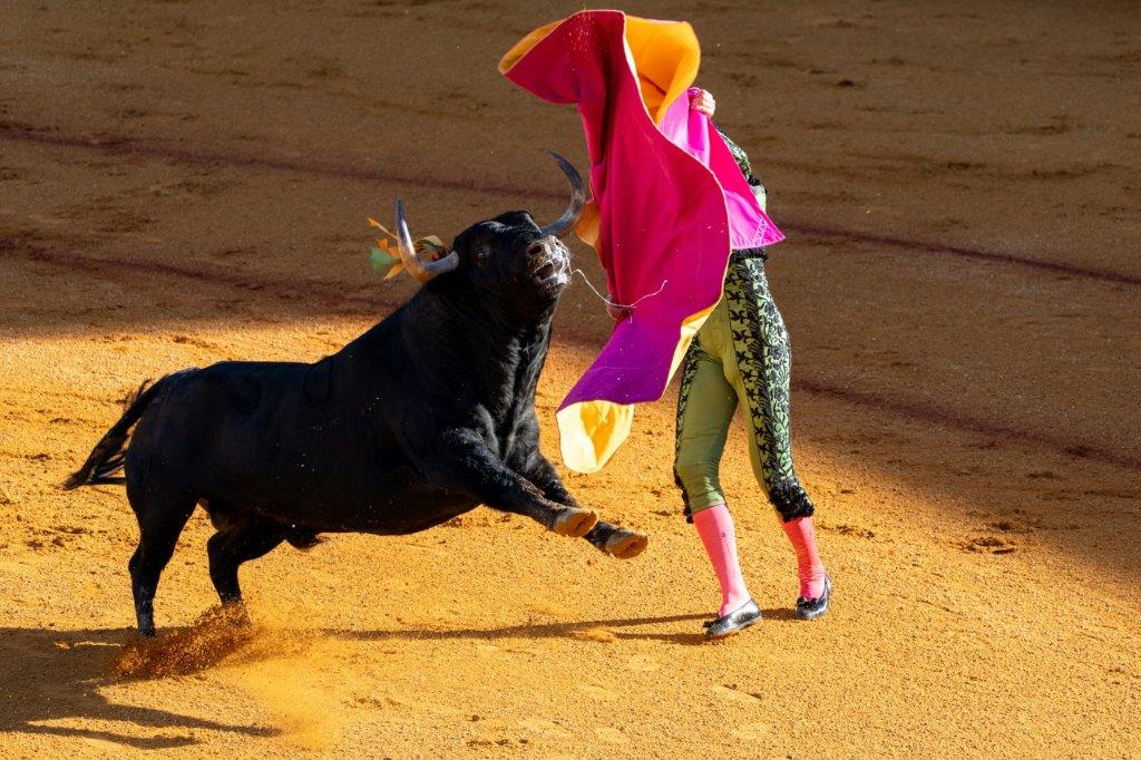 Bullfighting Culture Tour in Seville