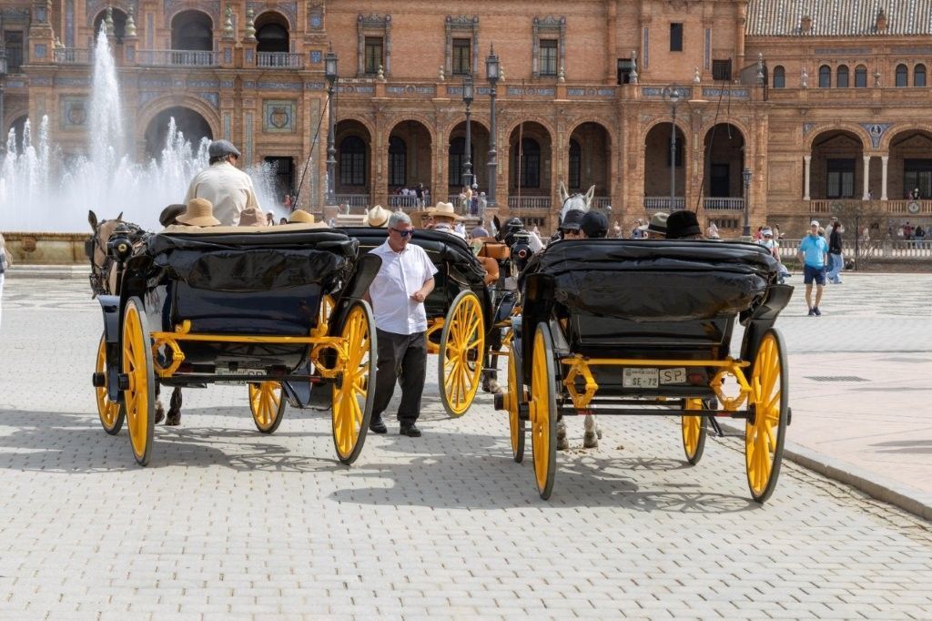 Corporate guided tours in Seville