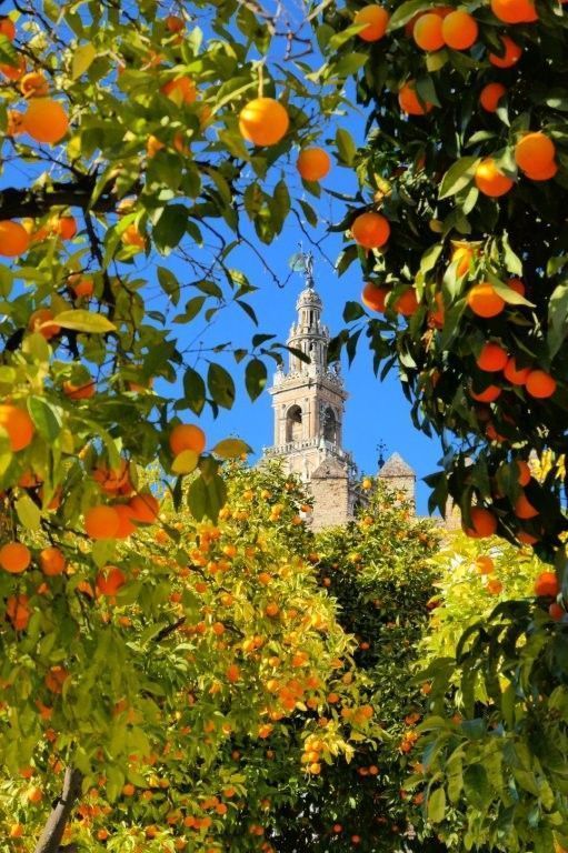 Mini weddings and elopements in Seville